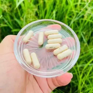 অর্গানিক ট্যাবলেট